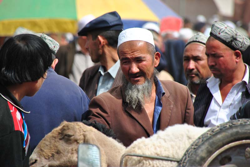 Ob das Schaf was taugt?