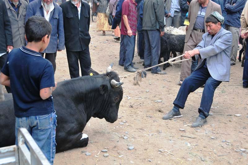 nein, er will nicht wirklich