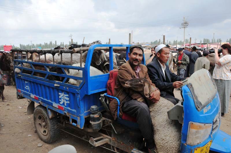 So ein Schaf im Arm, was gibts schöneres sollte man meinen