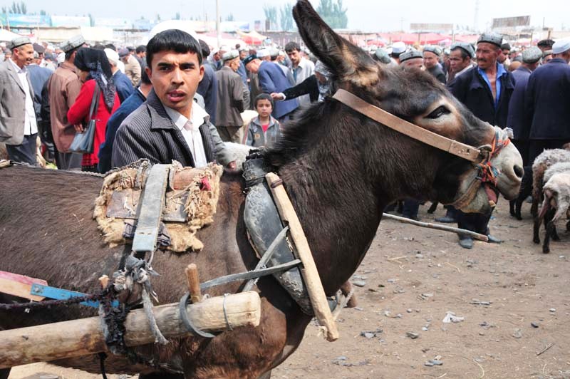 Ähnlichkeiten in den Bildern sind reiner Zufall