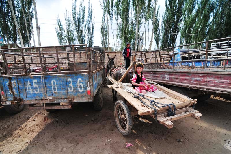 gekonnt geparkter Eselwagen